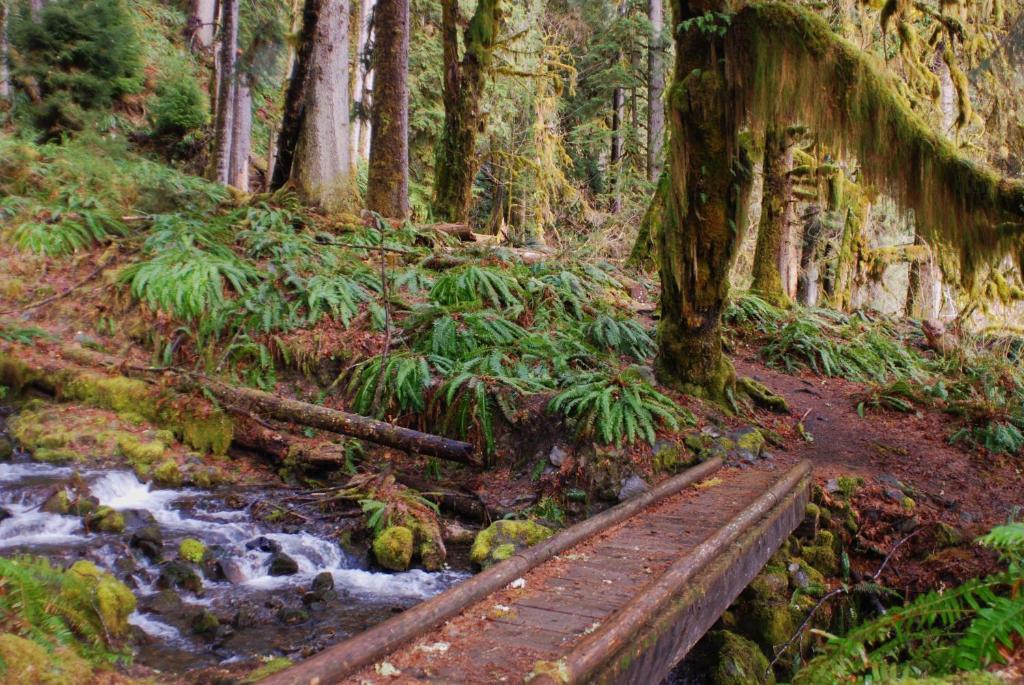 Miller Tree Inn Forks Bagian luar foto