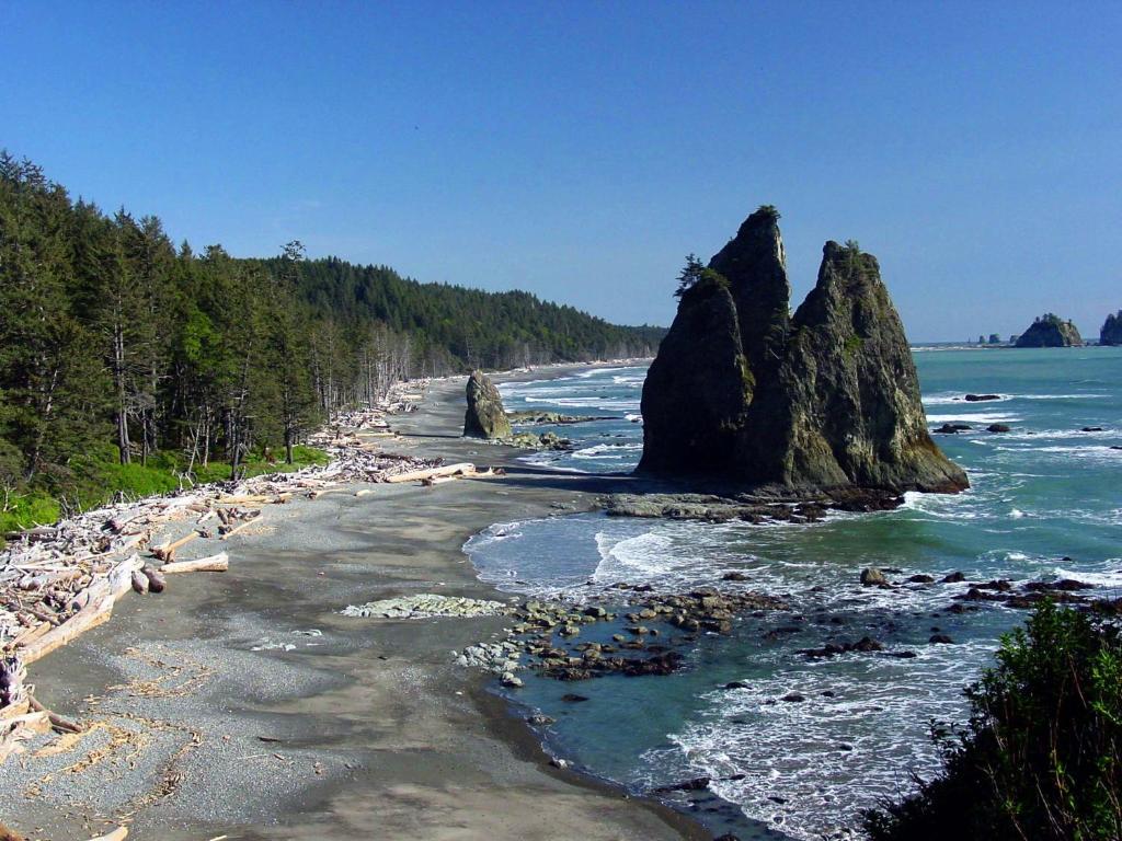 Miller Tree Inn Forks Bagian luar foto