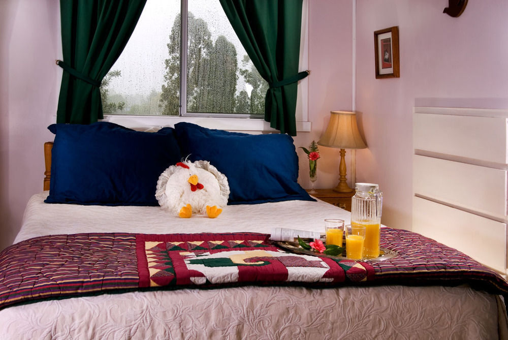Miller Tree Inn Forks Bagian luar foto