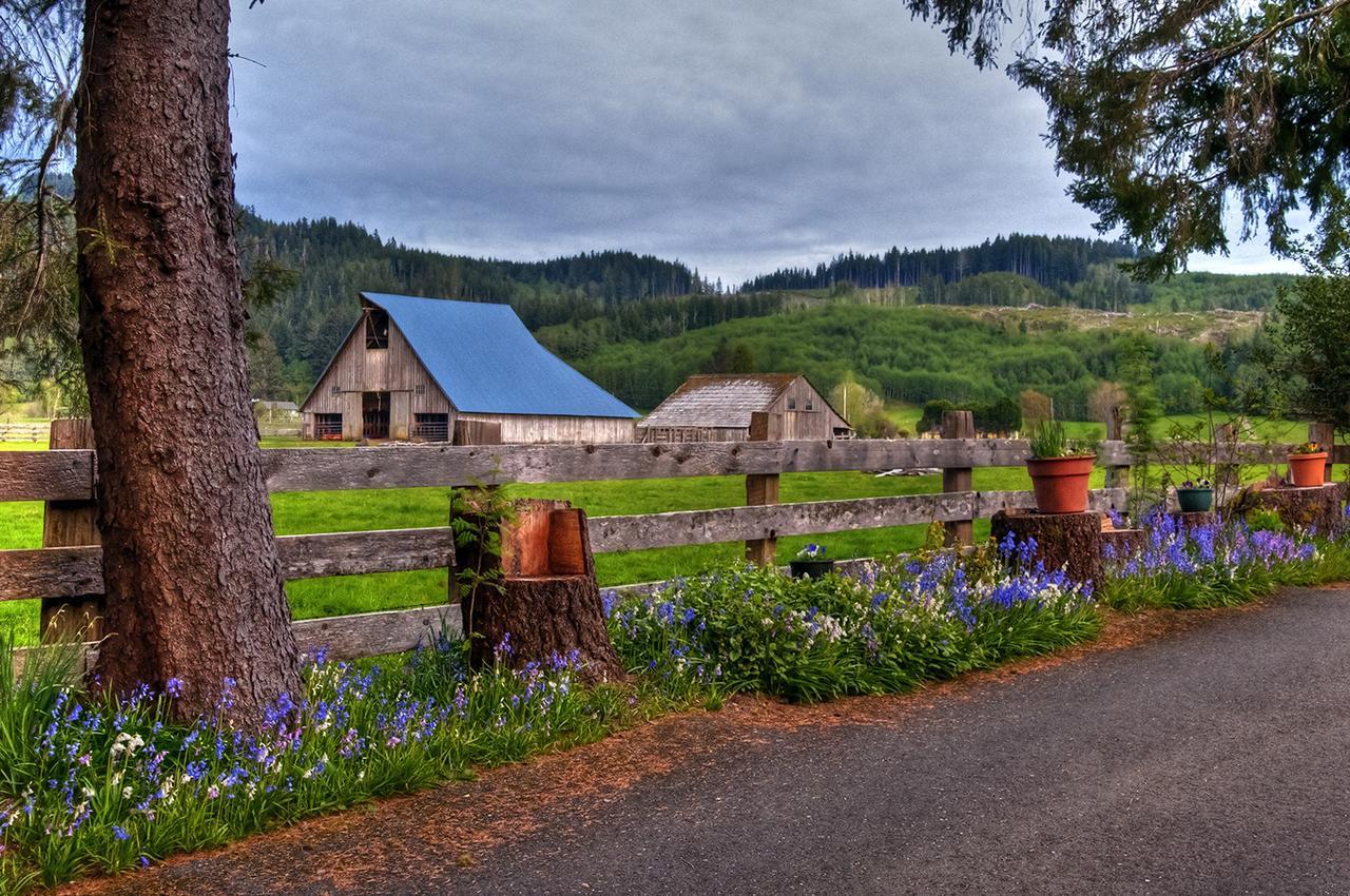 Miller Tree Inn Forks Bagian luar foto