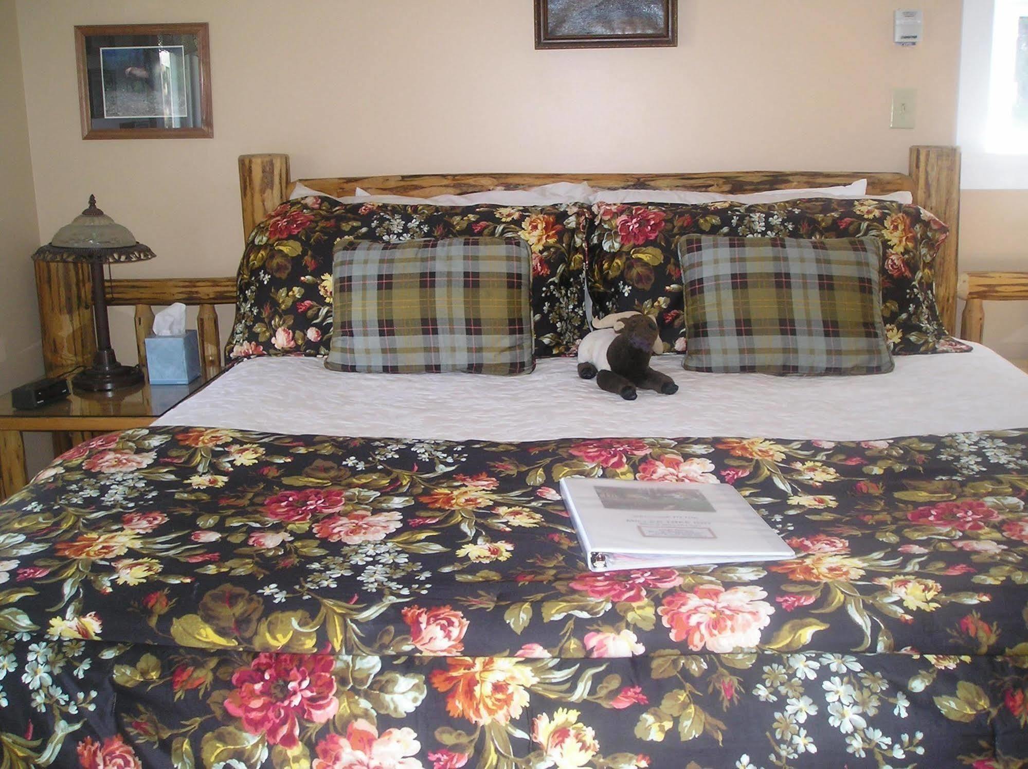 Miller Tree Inn Forks Bagian luar foto