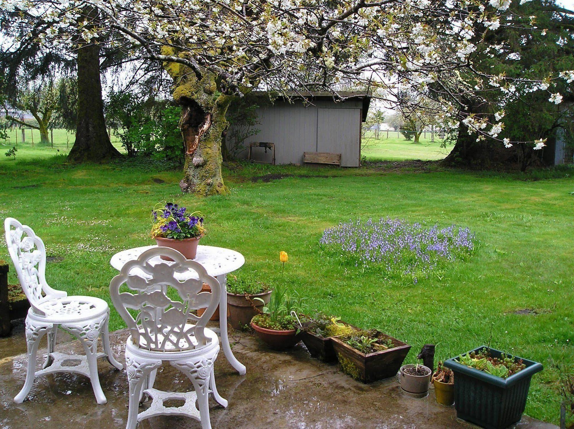 Miller Tree Inn Forks Bagian luar foto