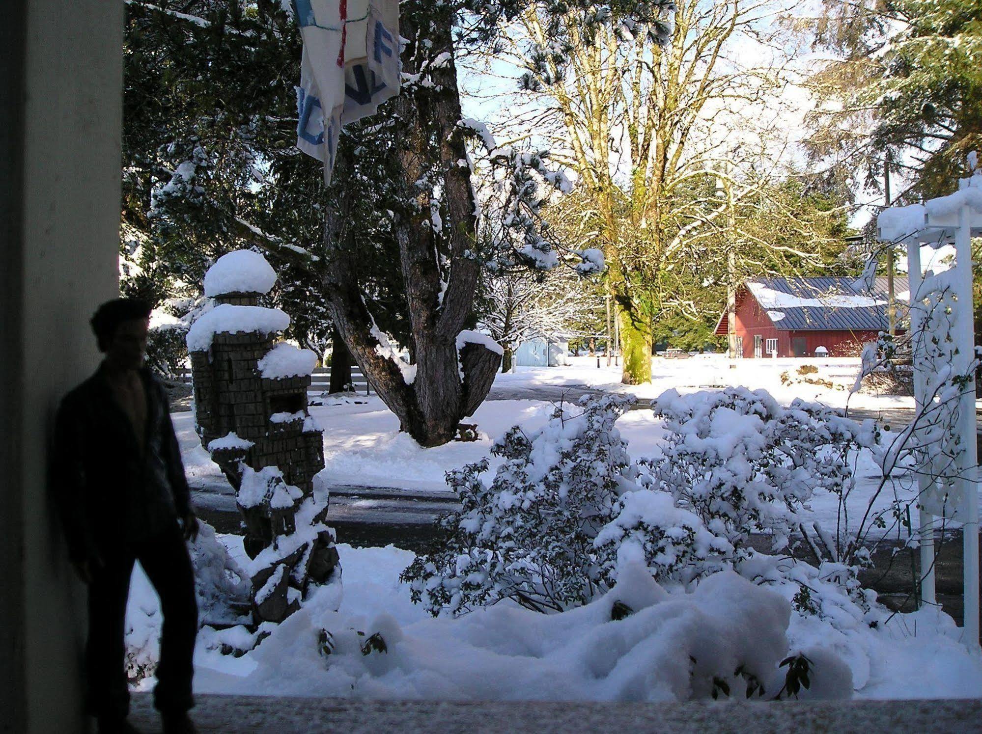 Miller Tree Inn Forks Bagian luar foto